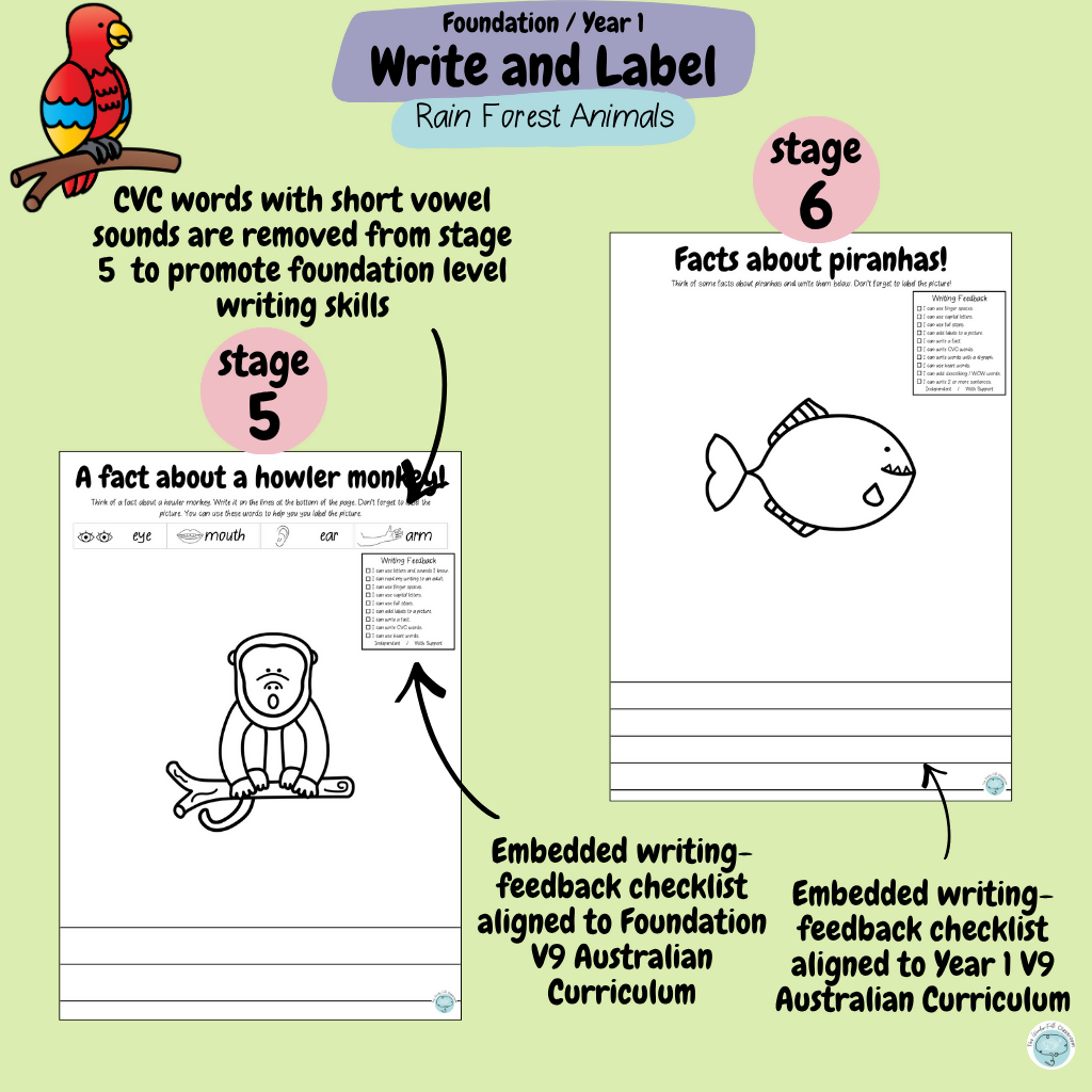 Foundation & Year 1 V9 Differentiated Information Writing - Rainforest Animals