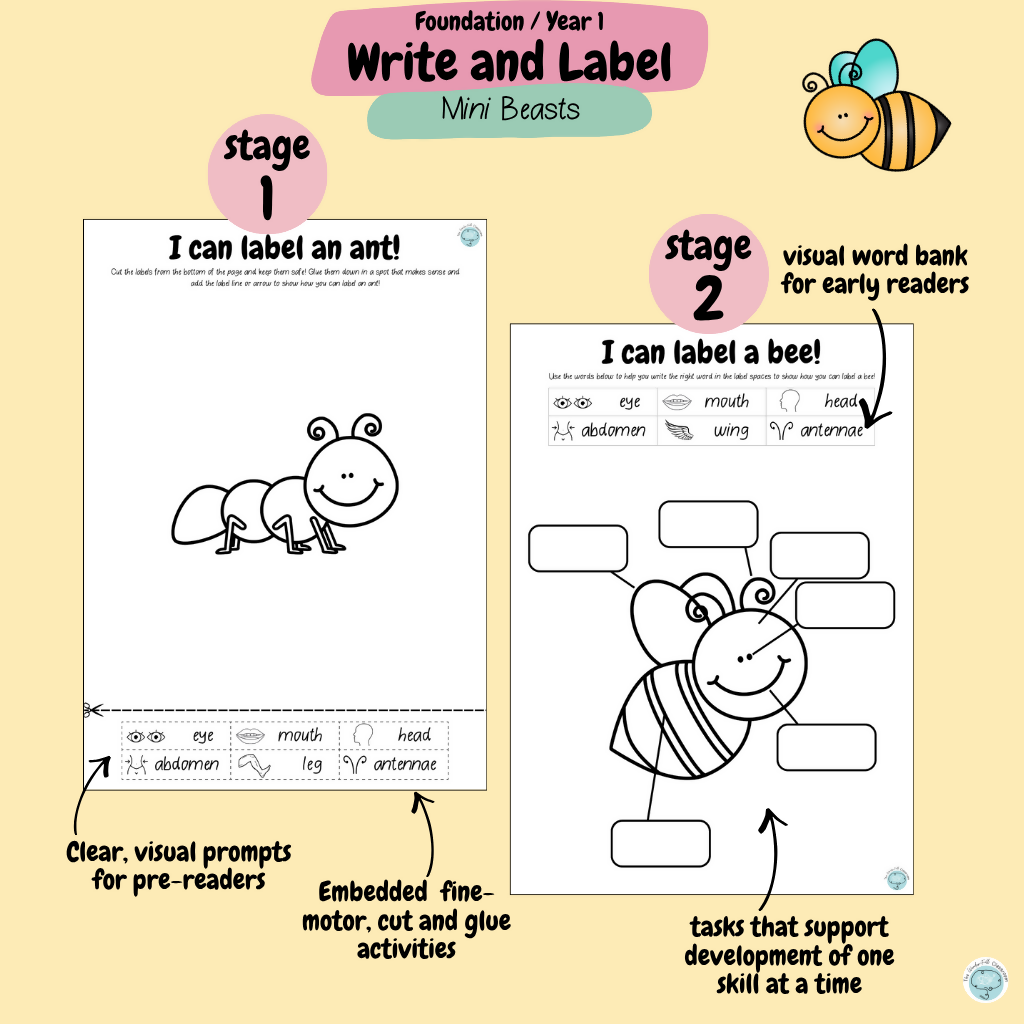 Foundation & Year 1 V9 - Differentiated Information Writing - Mini Beasts