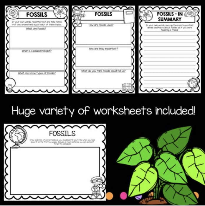 Fossils and Earth Science Worksheets | Year Three and Four