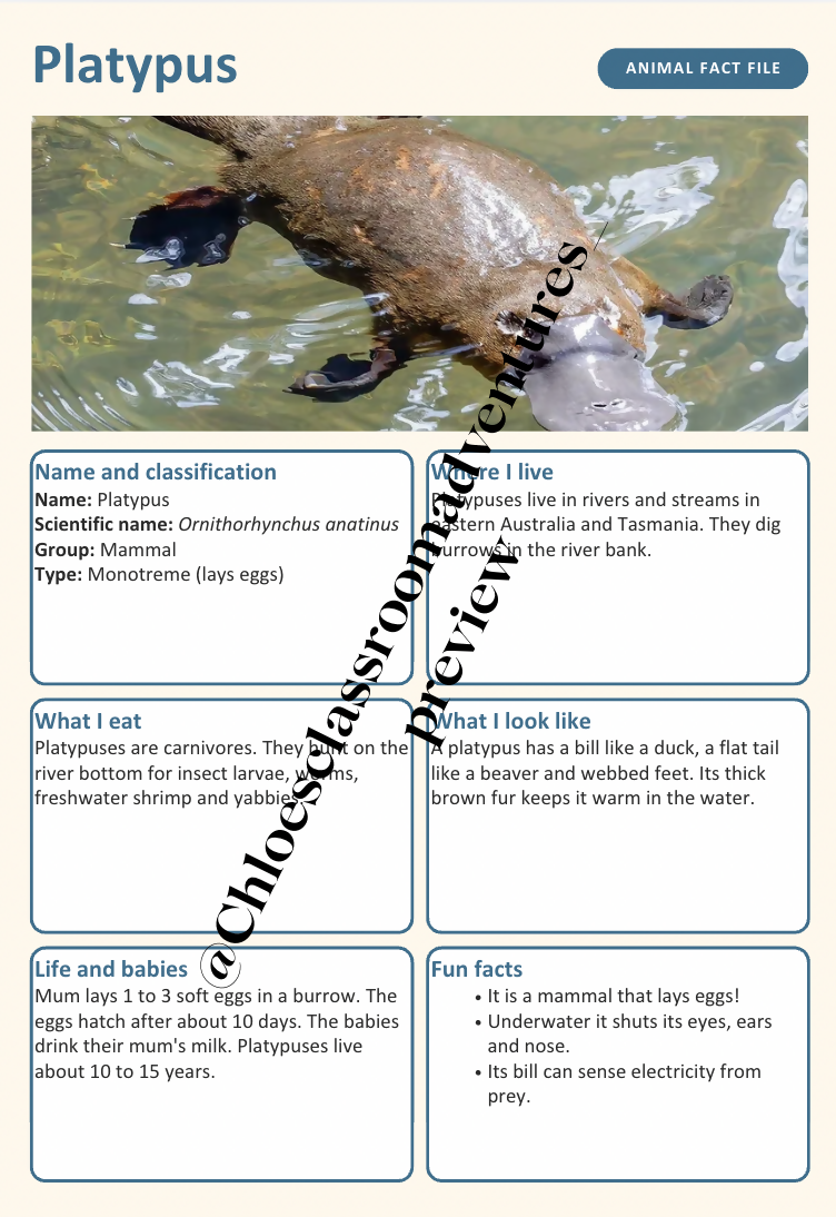 Australian Animal Fact Files | 20 Native Australian Animals | Year 1–2 | Editable | Printable