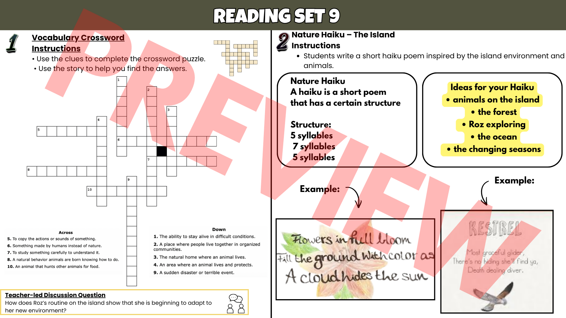 The Wild Robot Novel Study – Comprehension, Vocabulary & Activities (Grades 3–6)