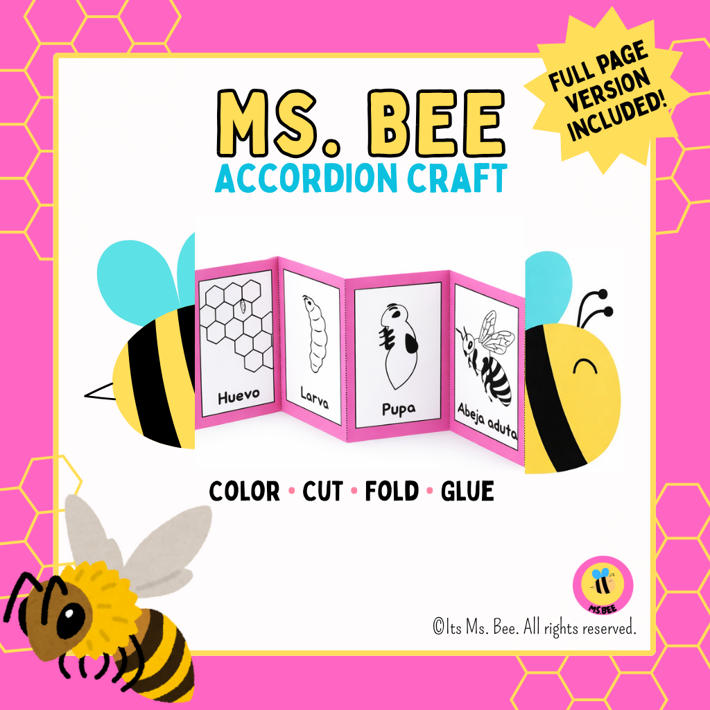 Life Cycle Of A Bee | Accordion Craft