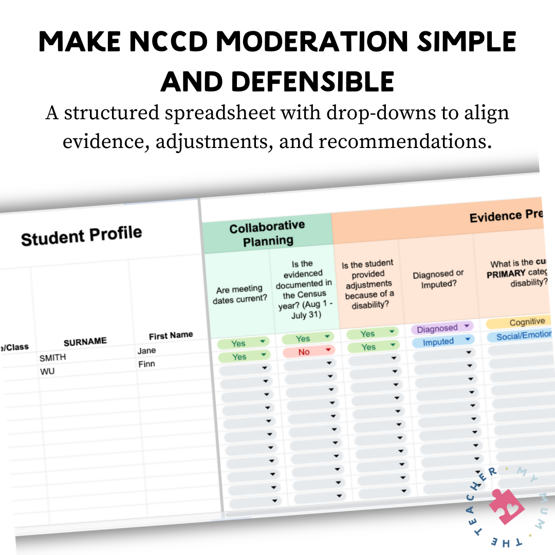 NCCD Moderation Spreadsheet - Editable Google Sheets Template