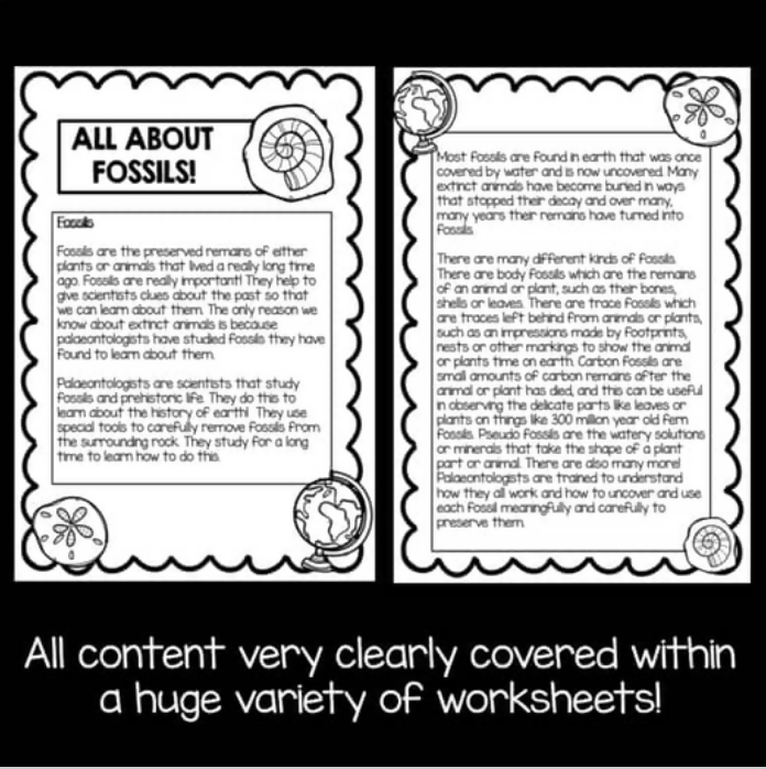 Fossils and Earth Science Worksheets | Year Three and Four