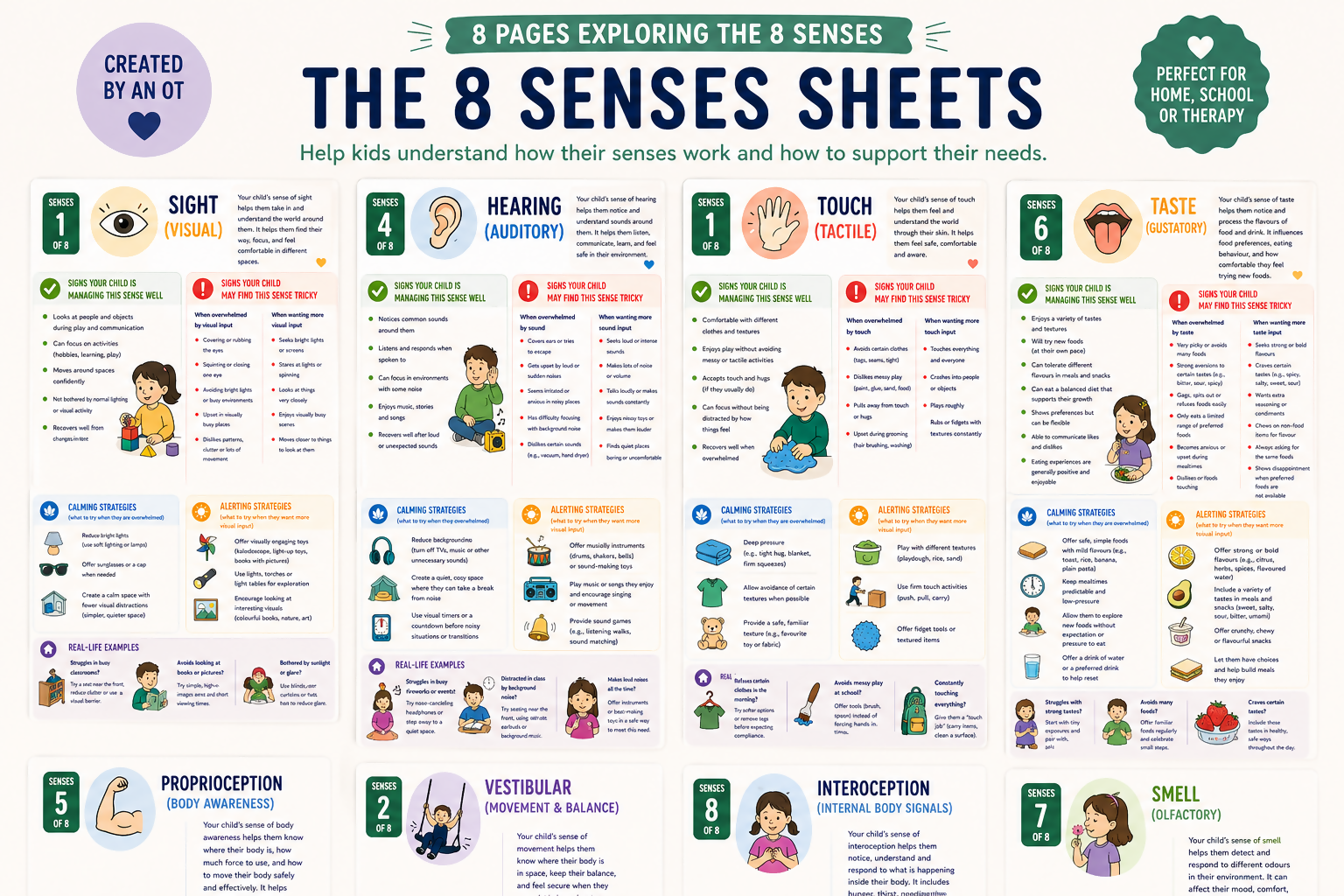 OT Designed Bundle-Sensory Regulation-Interoception, Proprioception, Vestibular etc