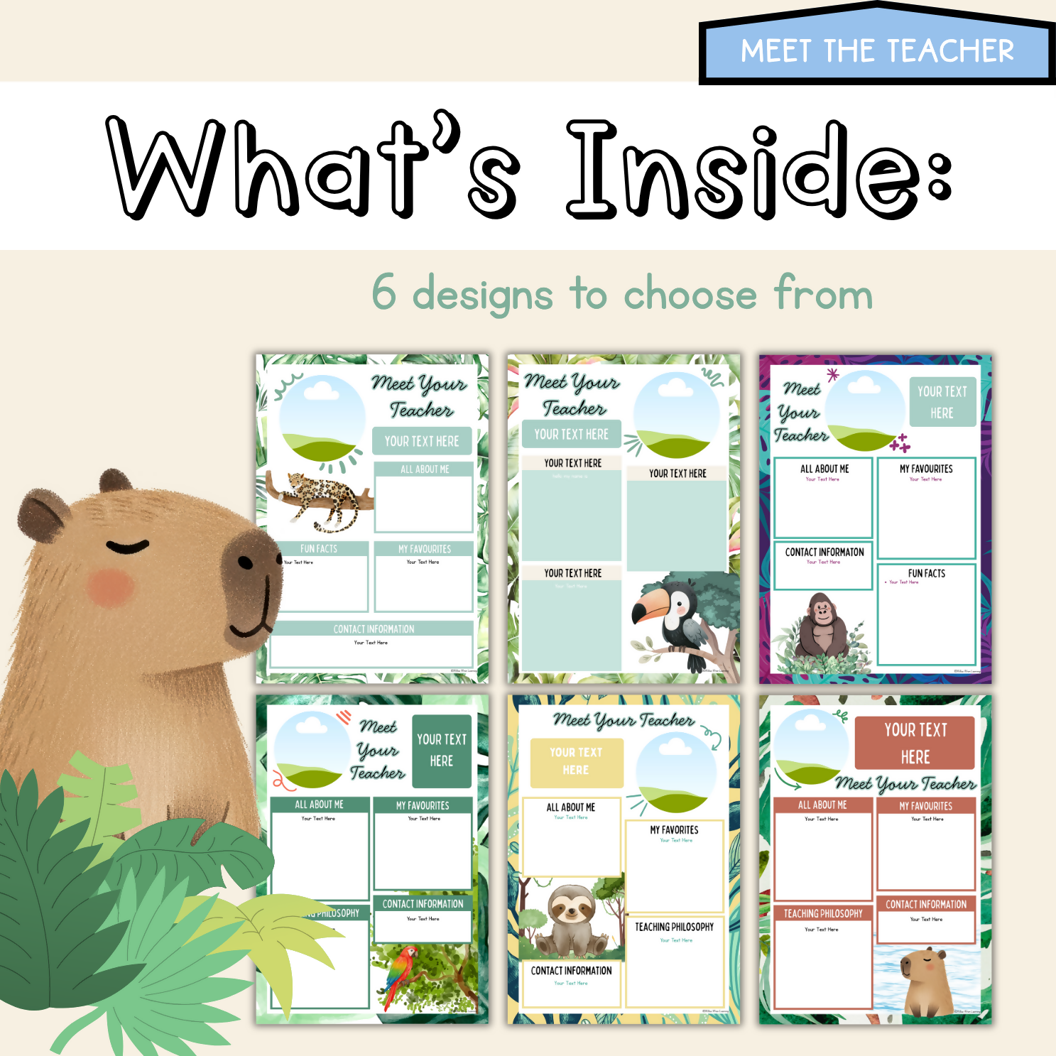 Rainforest Hideaway Back to School Bundle I Tropical Pack Decor