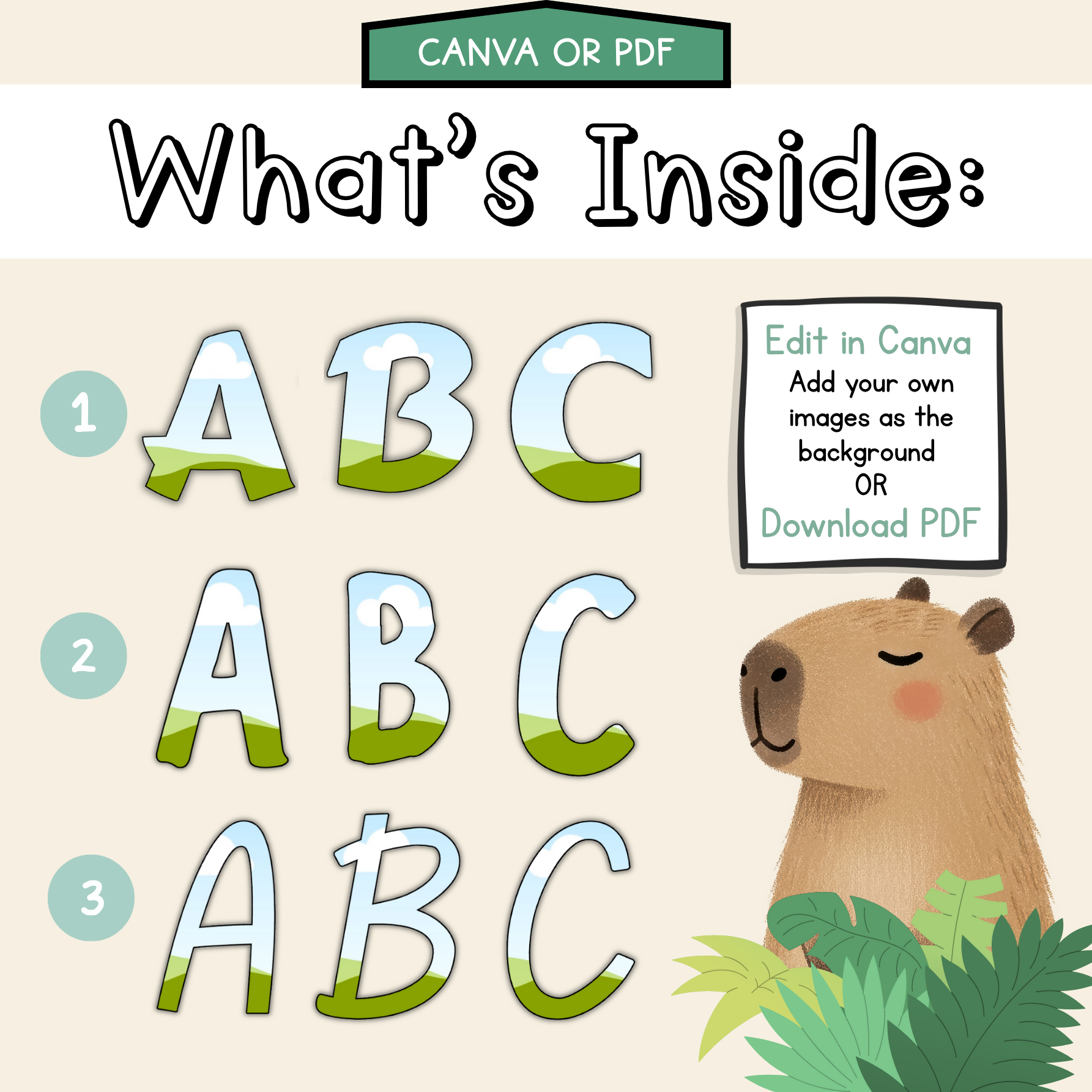Rainforest Hideaway Bulletin Board Letters | Editable Lettering Pack Decor Leaf