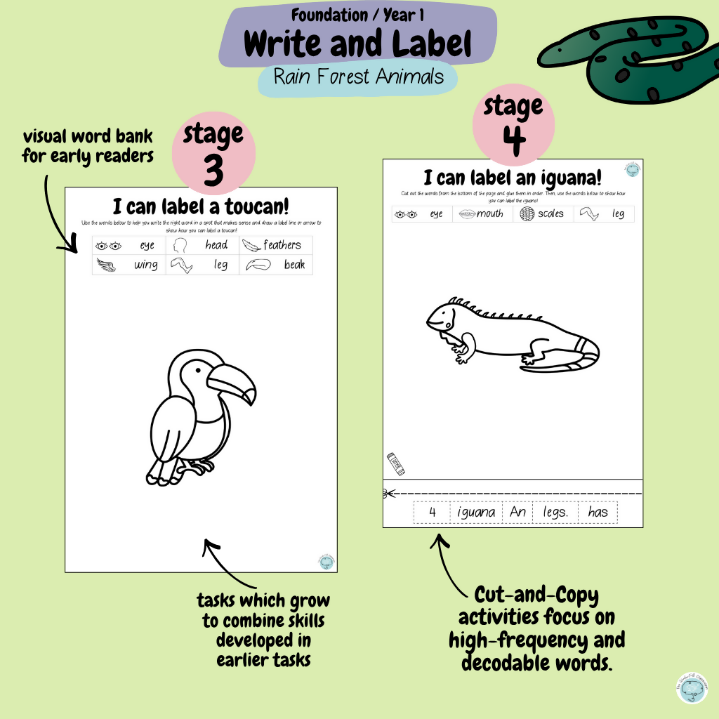 Foundation & Year 1 V9 Differentiated Information Writing - Rainforest Animals