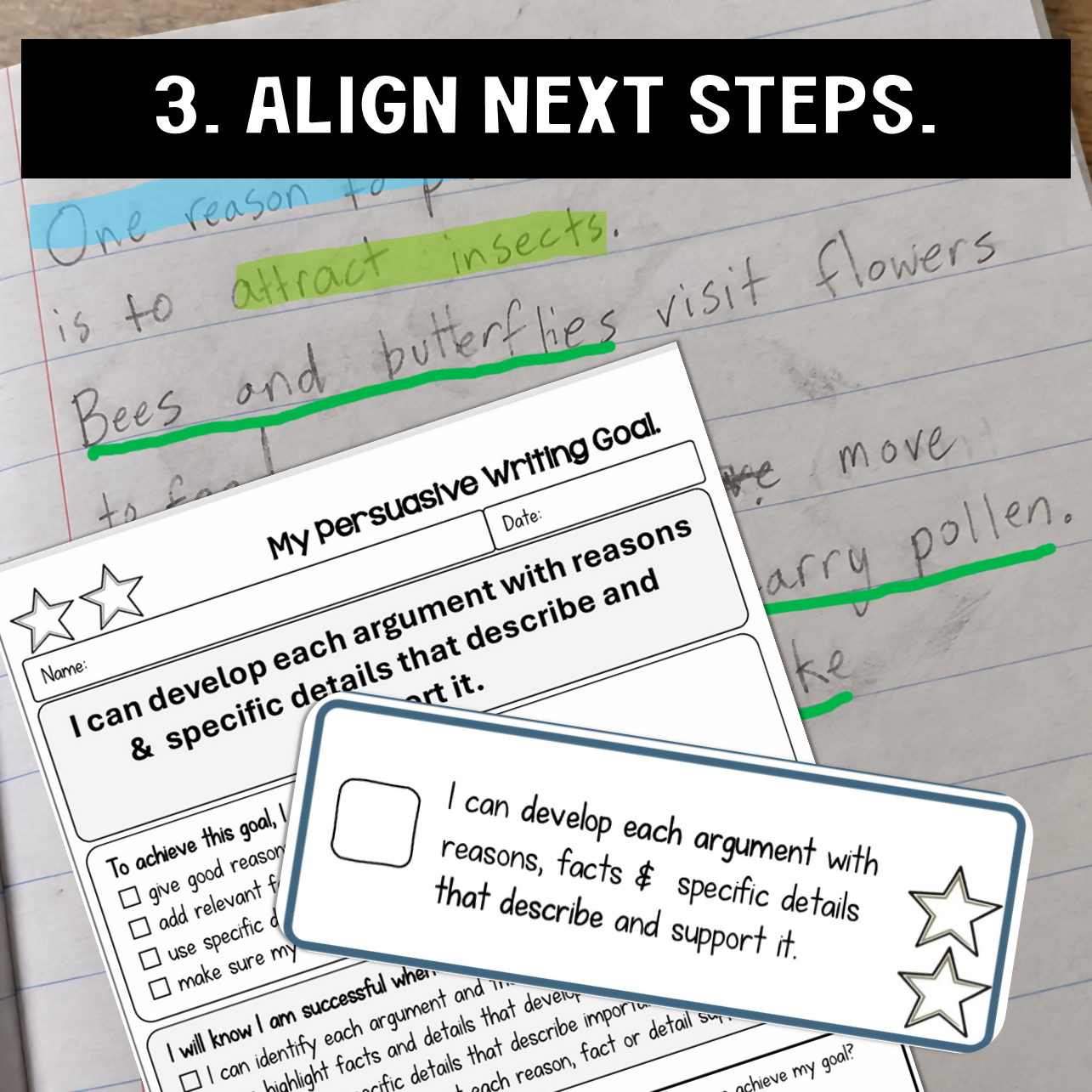 YEAR 4 BUMP IT UP| PERSUASIVE WRITING | MODEL TEXTS