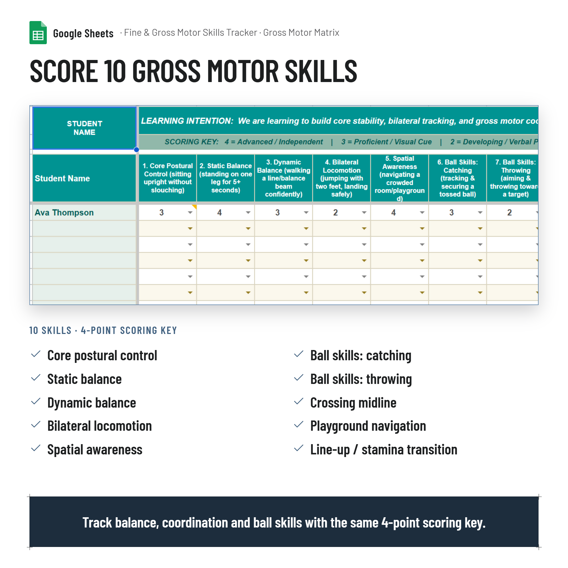 Fine and Gross Motor Skills Developmental Tracker| Google Sheets