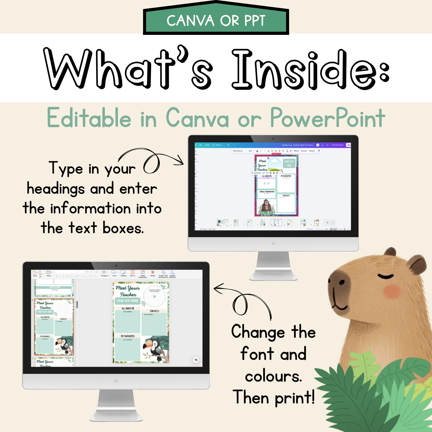 Rainforest Hideaway Meet the Teacher | Editable Back to School Classroom Decor