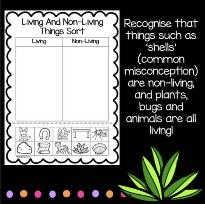 Living and Non-Living Things | Year One Science Worksheets | Australian Curriculum Aligned