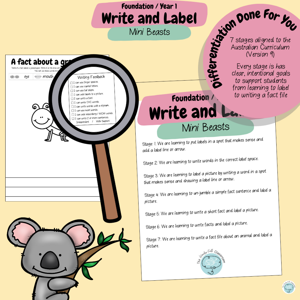 Foundation & Year 1 V9 - Differentiated Information Writing - Mini Beasts