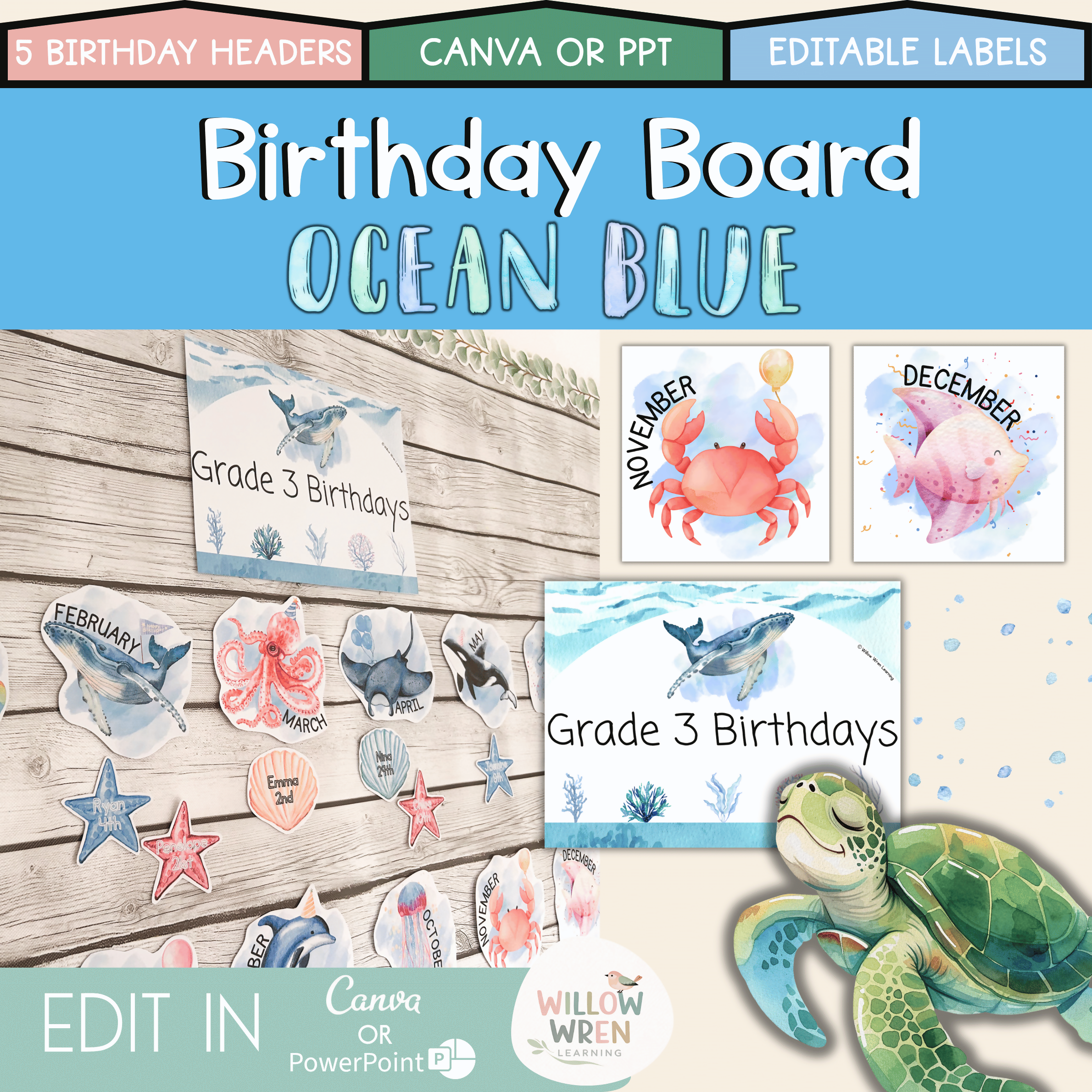 Ocean Blue Birthday Board | Editable Lettering Pack Decor Sea Creatures