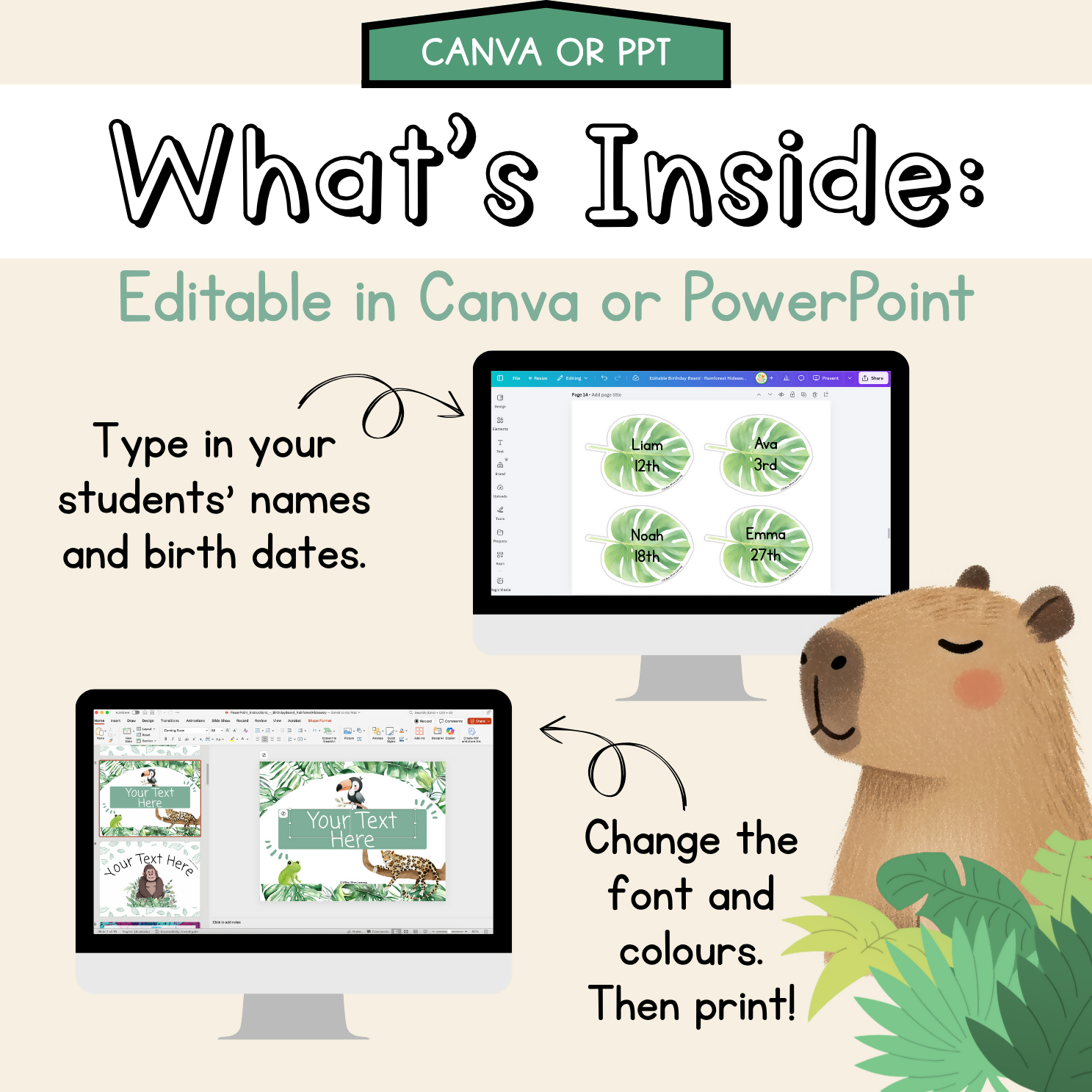 Rainforest Hideaway Meet the Teacher | Editable Back to School Classroom Decor