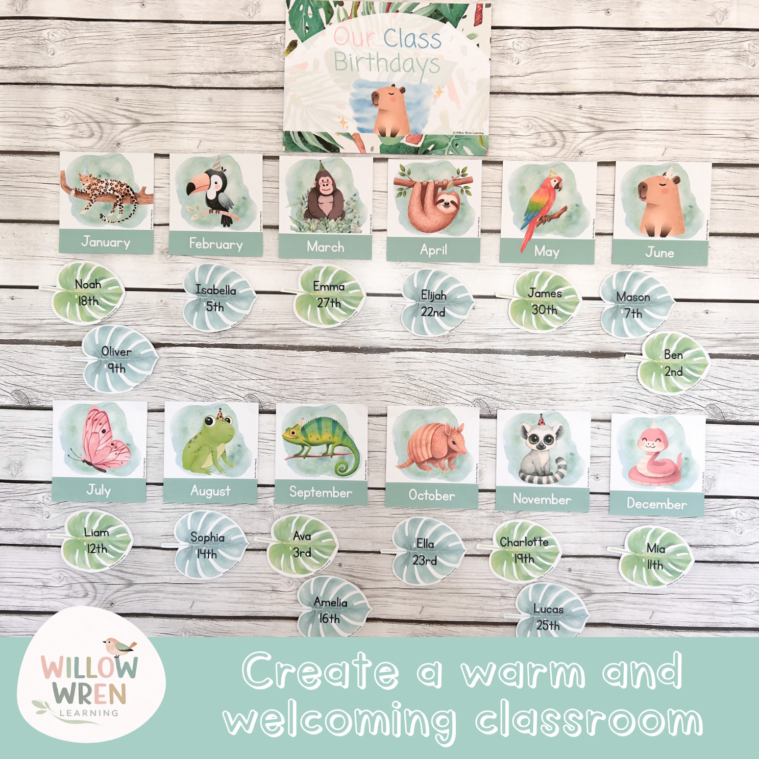 Rainforest Hideaway Meet the Teacher | Editable Back to School Classroom Decor