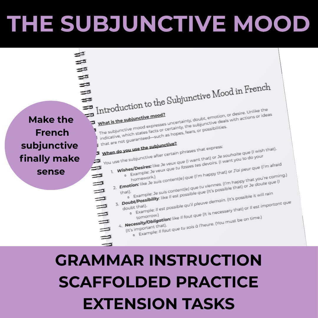 French Subjunctive | Le Subjonctif | Grammar & Writing Activities