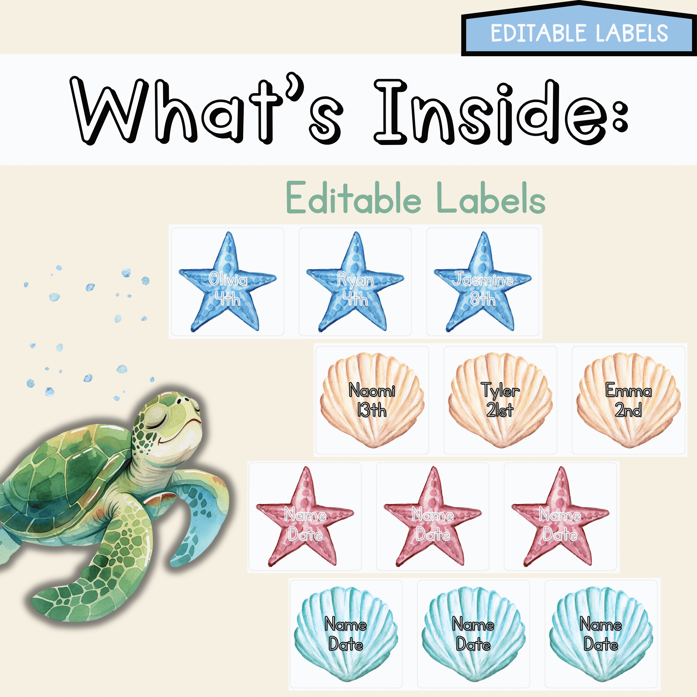 Ocean Blue Birthday Board | Editable Lettering Pack Decor Sea Creatures