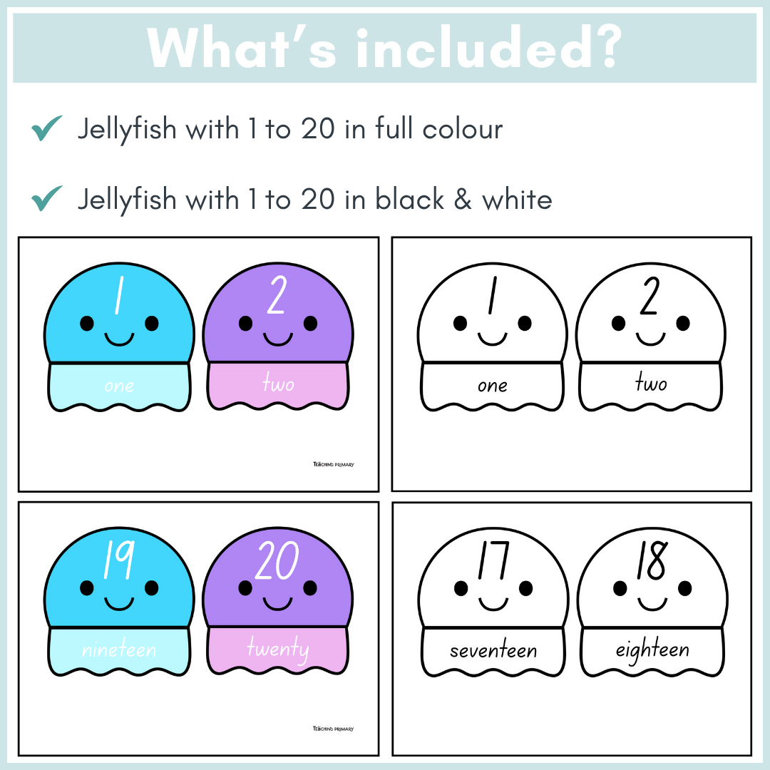 Making Collections to 20 Jellyfish Foundation Maths